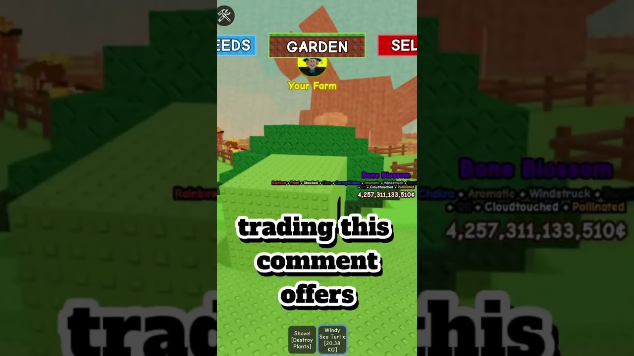 Trading big ahh sea turtle comment offers 