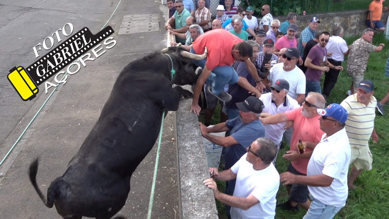 Tourada à Corda Areeiro Fontinhas 01- 08- 2025 Ganadeiro E.R.