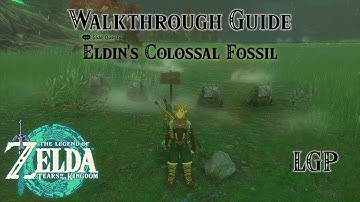 Tears Of The Kingdom | Eldin