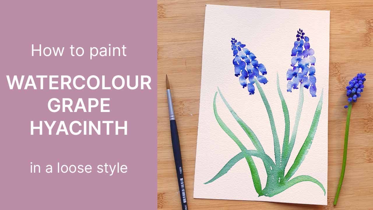 Watercolor Grape Hyacinth Tutorial Paint Muscari Flowers Emily Wassell Youtube Watercolor Grape Hyacinth Tutorial Paint Muscari Flowers Emily Wassell Youtube