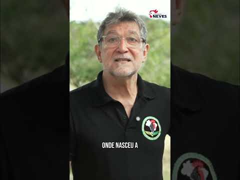 O Foco Agora é Fortalecer a Galinha Balão!