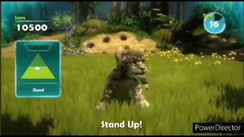 What Did You Think About My Wildest Awesomeness Amazingness Zoo Tricks?