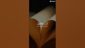 وقالوا لولا أنزل عليه آيات | ✨🌿🌧️ #اكسبلور #رمضانمبارك #لايك #ايات
