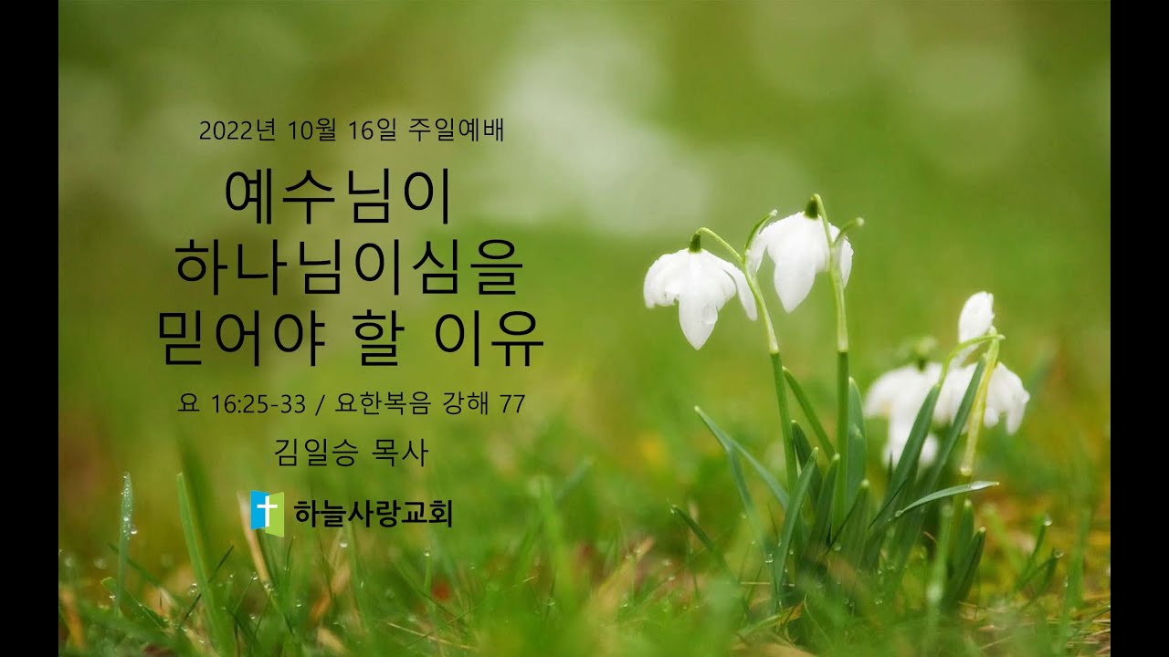 요한복음 강해 77 요 16.25-33 예수님이 하나님이심을 믿어야 할 이유