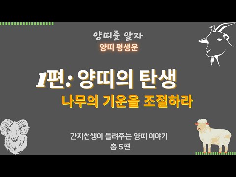 Year of the Sheep Part 1: The Birth and Destiny of the Sheep – Born in 1955, 1967, 1979, 1991, 2003