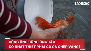 Cúng ông Công ông Táo có nhất thiết phải có cá chép vàng? | Báo Lao Động