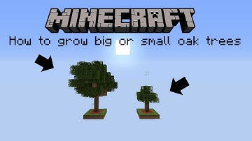 How to grow always big or small oak trees.