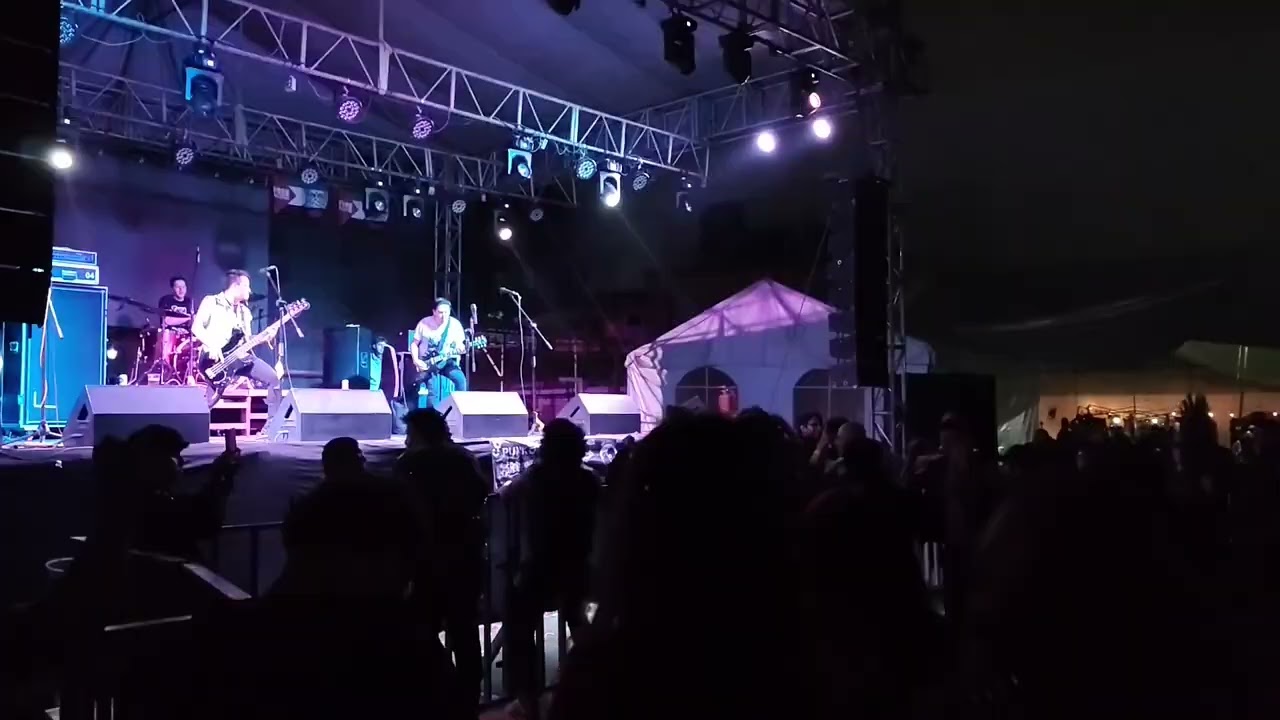 Hatewolf Live Punkytud International Fest 2025