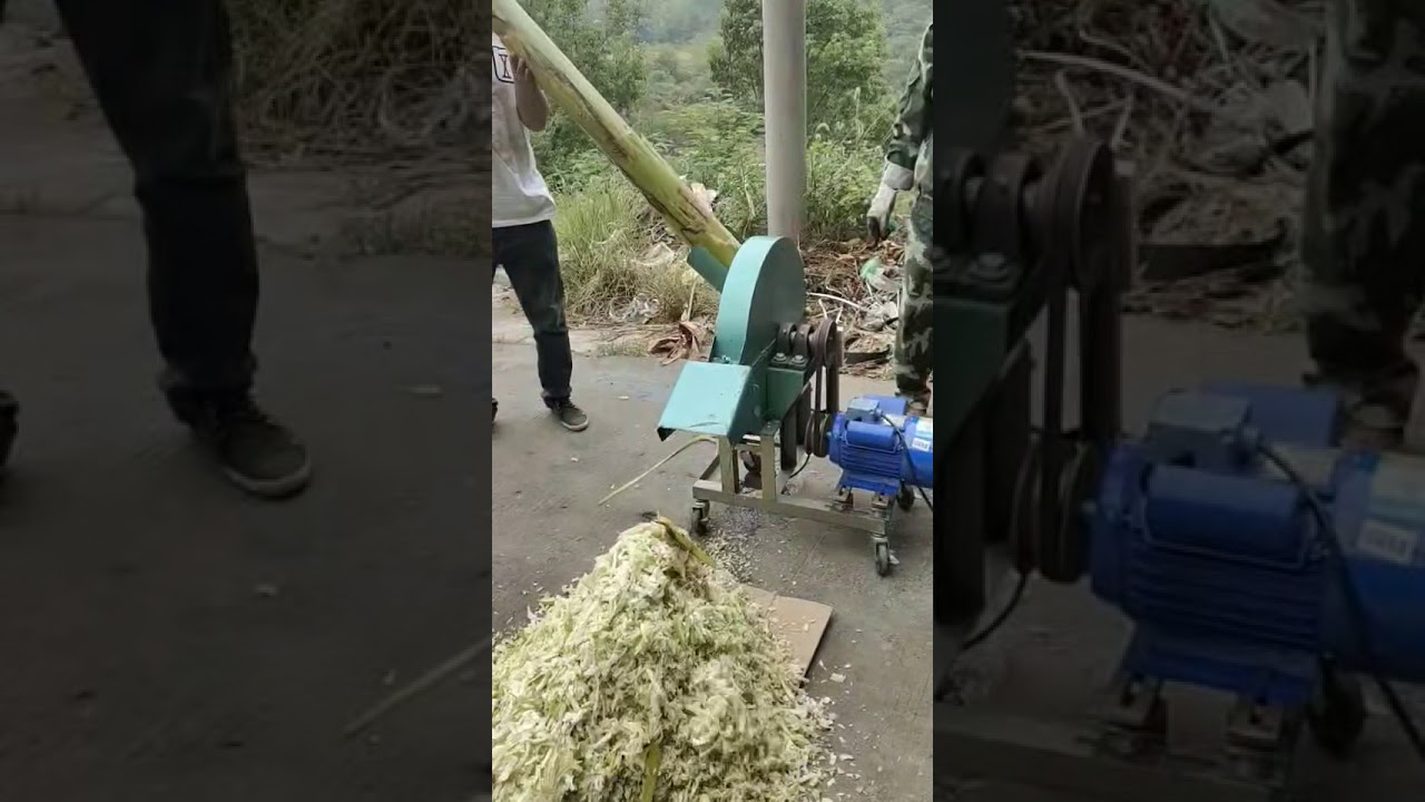 banana tree cutter machine match 2.2kw 3hp single phase YouTube
