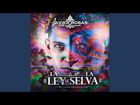 Aquí Ando - Javier Rosas