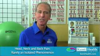 Canadian Massage Conference Head, Neck And Back Pain Rarely An Isolated Phenomenon David Kent
