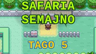 9 filmoj de La pokemona trejnisto