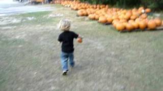 Pumpkin Patch