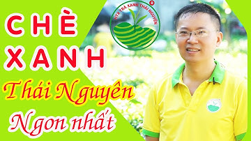 Chè Xanh Thái Nguyên | Chè Tân Cương Thái Nguyên