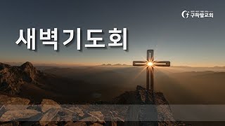 2025.6.18 | 새벽기도회 | 시편 77:1~9 | 신상욱 목사