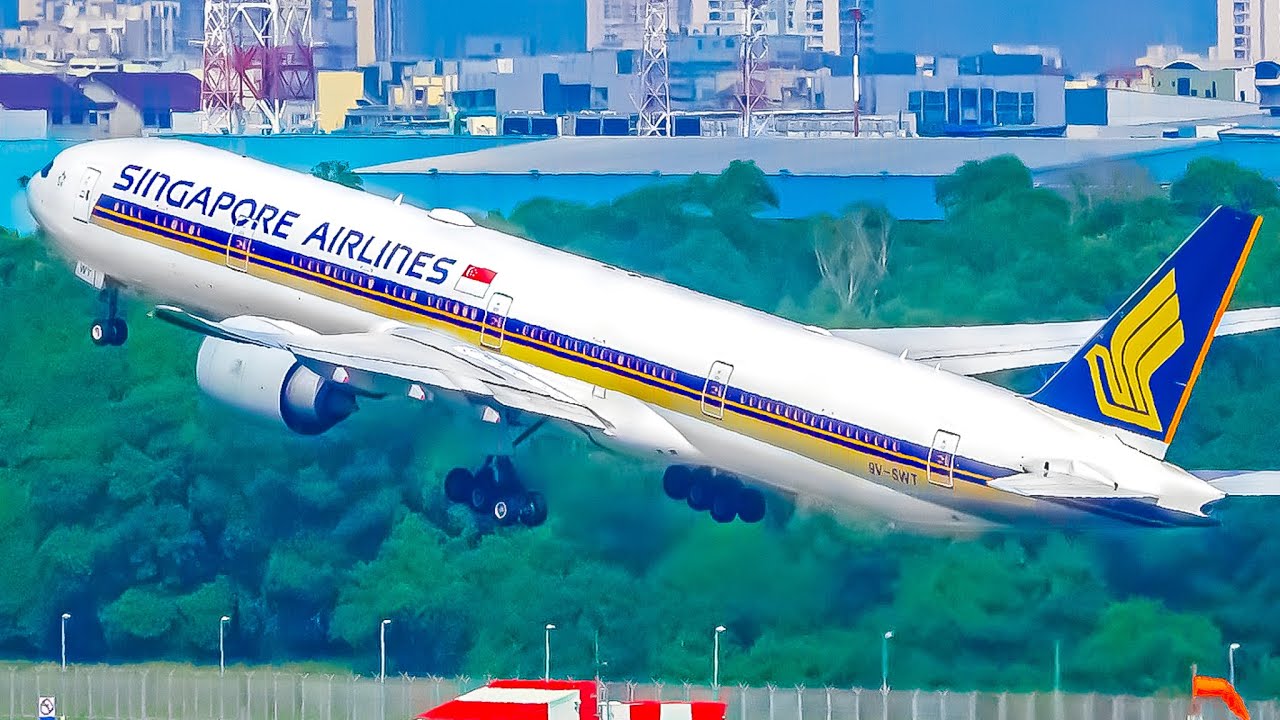 🇸🇬✈️ Plane Spotting at Singapore Changi Airport | Singapore Airlines, Scoot & More 🌏