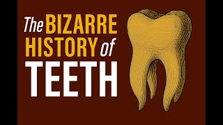 The Bizarre History of Teeth: From Animal Bones to Gold Grills