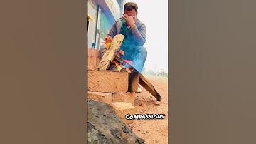 The Biggest Lesson I Learned this Year is not to Force Anything #shorts