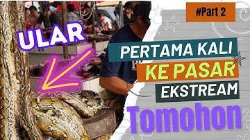 Pasar Ekstrim Tomohon: Perjalanan Melalui Pengalaman Kuliner Unik
