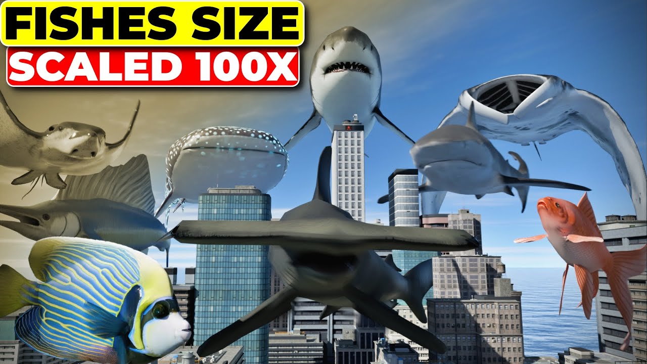 What If Fishes Scaled 100 Times Bigger? | Giant Fishes in Modern World ...