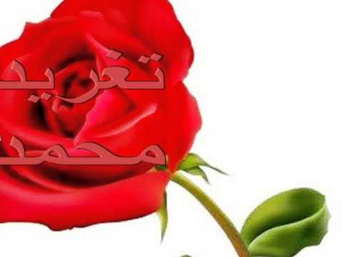 عاصم البنا عصام نور ياحبيبى نحن اتلاقينا مرة تغريد محمد 