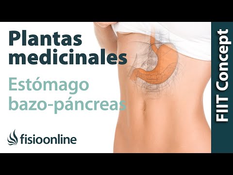 Vídeo: Recetas De Medicina Tradicional Para El Páncreas