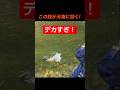 大型トラウトはこうやって釣る！#エリアトラウト #fishing #管理釣り場 #釣り