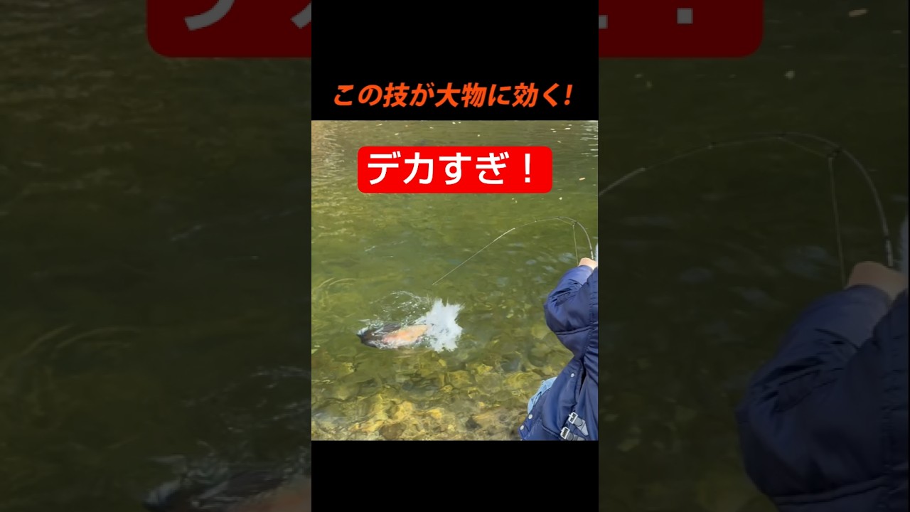 大型トラウトはこうやって釣る！#エリアトラウト #fishing #管理釣り場 #釣り
