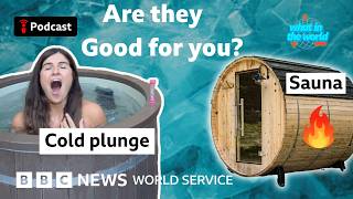 Are saunas and cold plunges actually good for you? - What in the World podcast, BBC World Service Net Worth