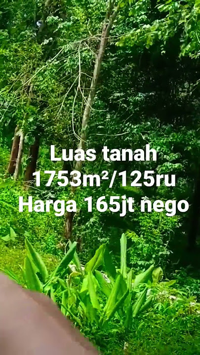Mangku land road, truck entrance area 1753m2/125ru price 165 million negotiable #property #garden...