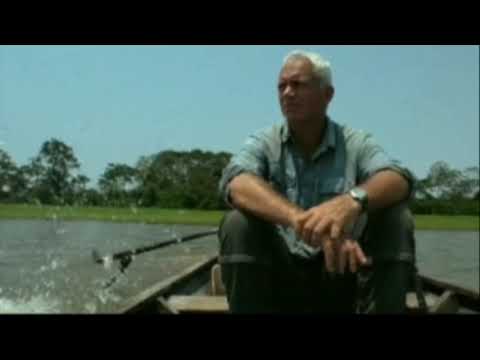 River Monster In Hindi