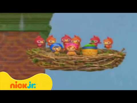 אומי-זומי: הגוזלים הגיבורים | ניק ג'וניור