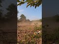 450 and 250 MX bike *RAW SOUND* #4stroke #2stroke