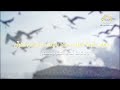 شكر لمشرفات الحلقات