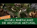 Fóssil de tiranossauro no Museu Americano de História Natural #Boravê 🔵Manual do Mundo