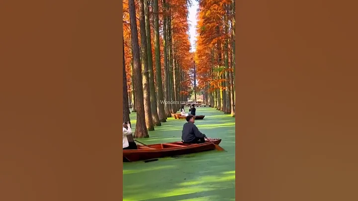 place that don't feel real #travel #adventure #travel