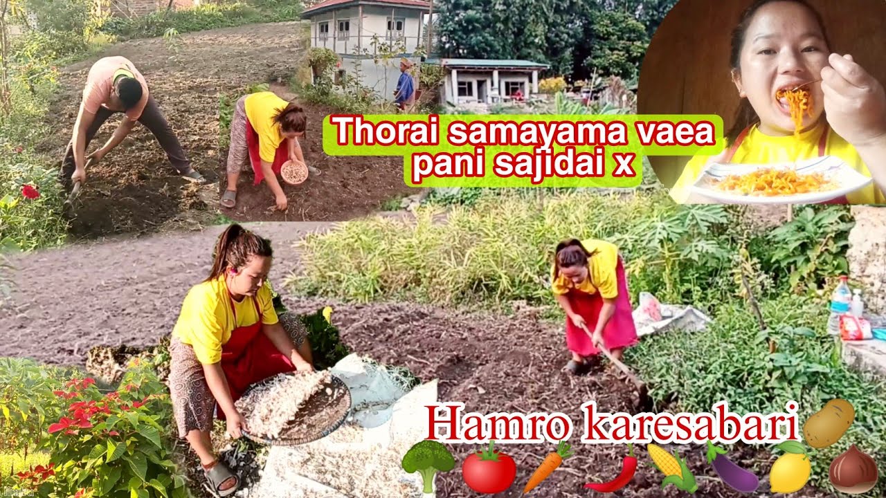 Hamro sano karesabari🍅🥦🥕🌶️🥔🌽thorai samayale bhaea pani sajieakai x👌[Organic vegetable farming video]