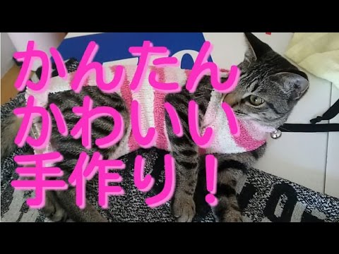 手作り簡単 避妊手術後の服the Clothes Put On After An Operation Of A Cat Kitten Youtube