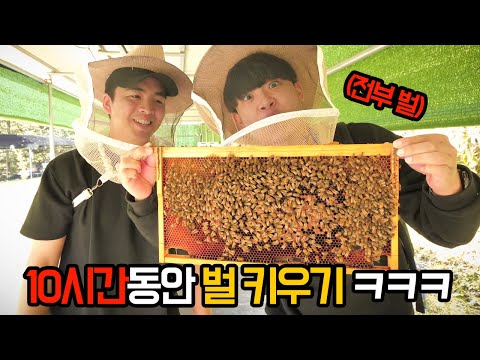10시간동안 벌 키우는 방법을 배워봤다 ㅋㅋㅋㅋ feat. 꿀벌 마스터 프응님