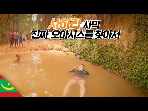진짜 사막의 진짜 오아시스는 어떻게 생겼을까? 【마그레브5】