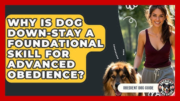 Why Is Dog Down-stay A Foundational Skill For Advanced Obedience? - Obedient Dog Guide