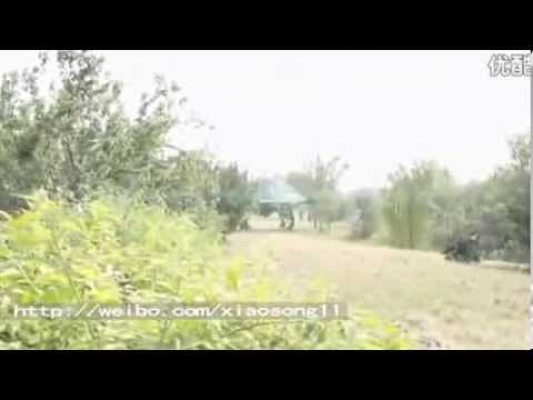 UFO  Посадка враждебного НЛО и высадка инопланетяна