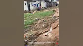 короткие видео от Эй