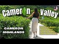 Full guide cameron valley tea shop 1 cameron highlands 2024