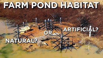 BEST Habitat For Farm Ponds?! | Natural Vs. Artificial Cover
