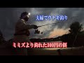 この餌で巨大な超高級〇〇もヒット！この河口には凄いのがいる！