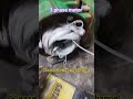 3 phase motor Coil Rewanding #viral #making #trending #shorts #electrica #@AinulAb l
