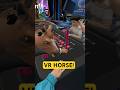 New Creator Program in Vegas Infinite VR