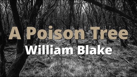 A Poison Tree ~ William Blake | Powerful Poetry