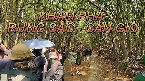 Phóng sự "KHÁM PHÁ RỪNG SÁC - CẦN GIỜ"  - Besty
